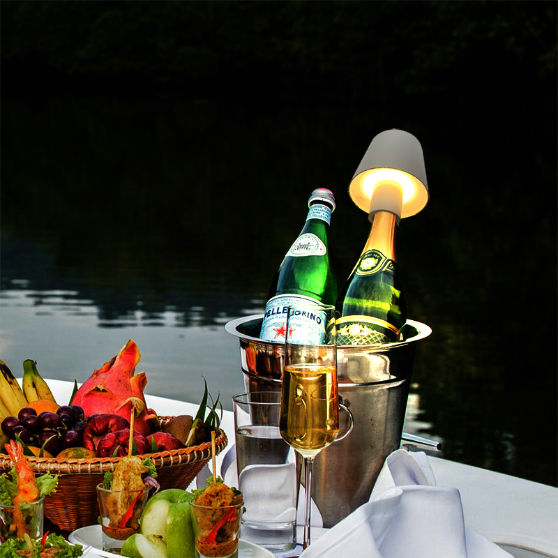 Cubiertas Decorativas para Bot - Wine & Beer Hydrometer reseña y precio